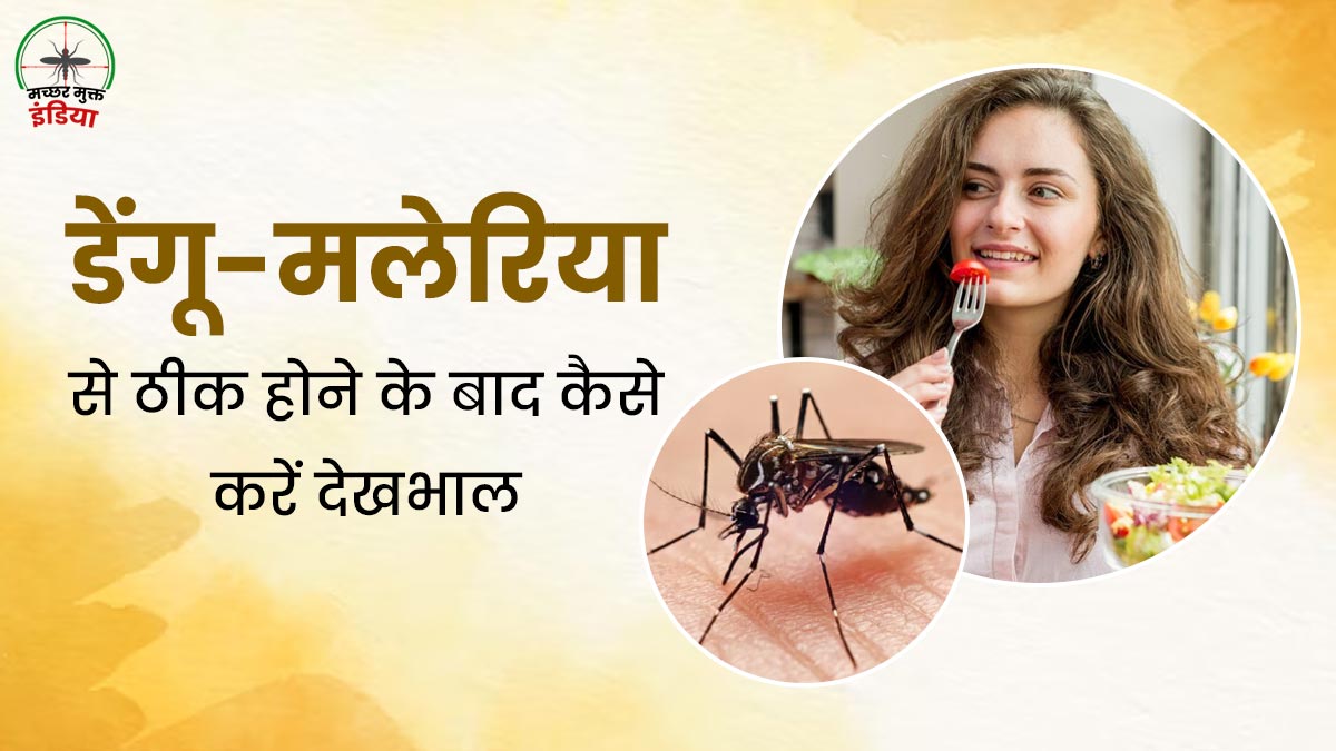 डेंगू-मलेरिया जैसी मच्छर जनित बीमारियों से रिकवर होने के बाद कैसे करें सही देखभाल? जानें ये 5 टिप्स