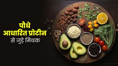 क्या प्लांट बेस्ड प्रोटीन से जुड़े इन मिथकों पर आप भी करते हैं भरोसा? एक्सपर्ट से जानें इनकी सच्चाई