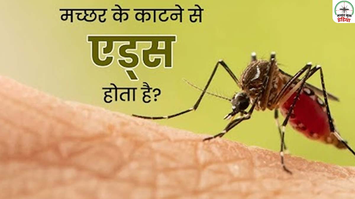 World Mosquito Day 2024: क्‍या मच्‍छर के काटने से एड्स हो सकता है? एक्‍सपर्ट से जानें 