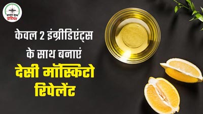 मच्छर भगाने के लिए नींबू और नीलग‍िरी तेल से बनाएं ये नेचुरल मॉस्किटो रिपेलेंट, जानें इस्‍तेमाल का तरीका 