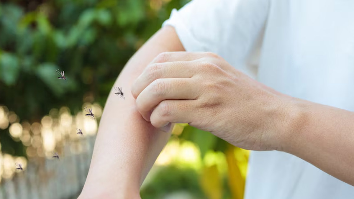 Why Do Some People Attract Mosquitoes More Than Others? 