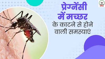 प्रेग्नेंसी में मच्‍छर के काटने से हो सकती हैं ये 5 गंभीर समस्‍याएं, डॉक्‍टर से जानें बचाव के उपाय 