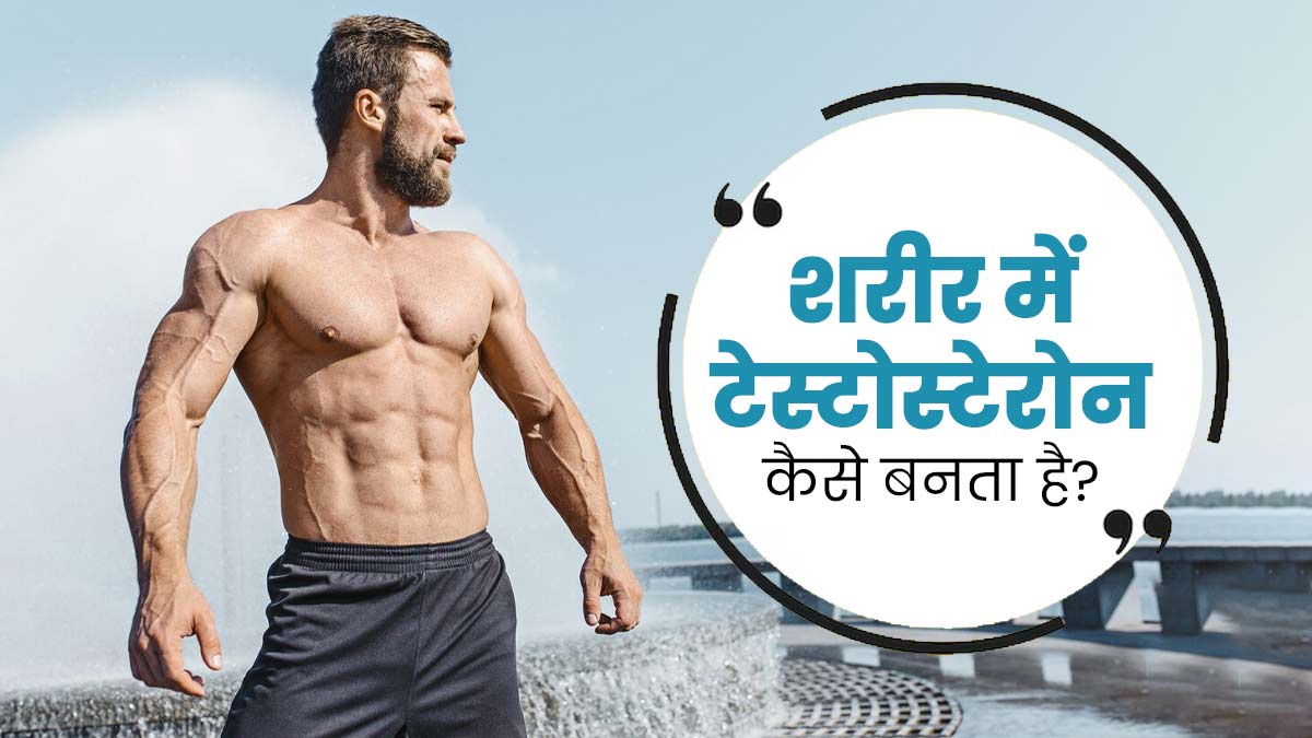 शरीर में कैसे बनता है टेस्टोस्टेरोन हार्मोन? डॉक्टर से जानें प्रक्रिया