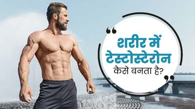 शरीर में कैसे बनता है टेस्टोस्टेरोन हार्मोन? डॉक्टर से जानें प्रक्रिया