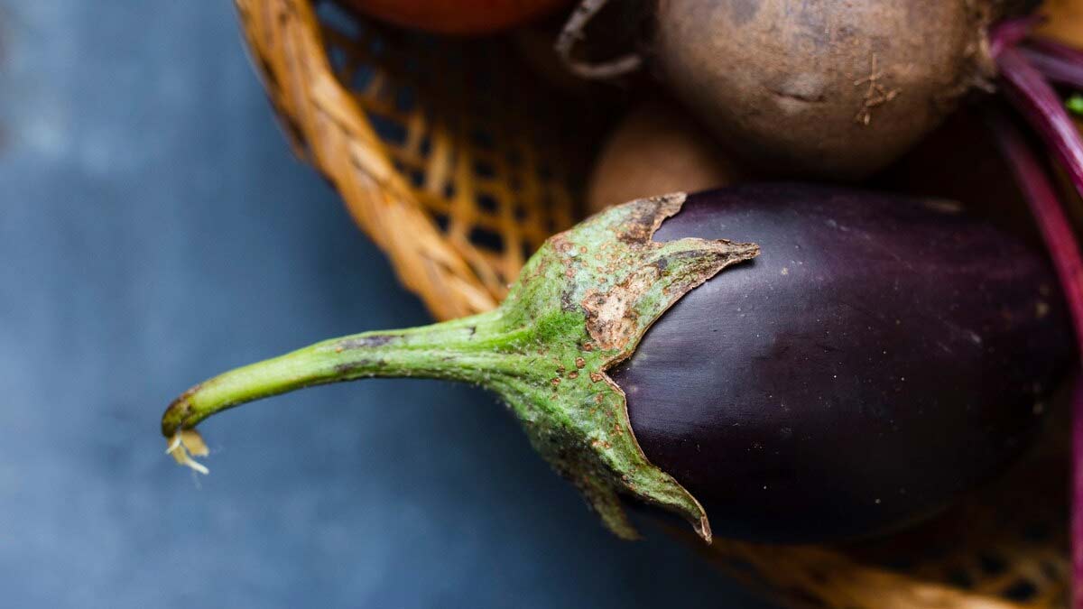 can arthritis patient eat brinjal