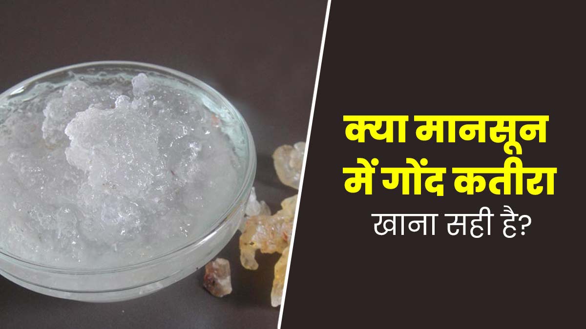 क्या मानसून में गोंद कतीरा खाना सही है? एक्सपर्ट से जानें फायदे और नुकसान