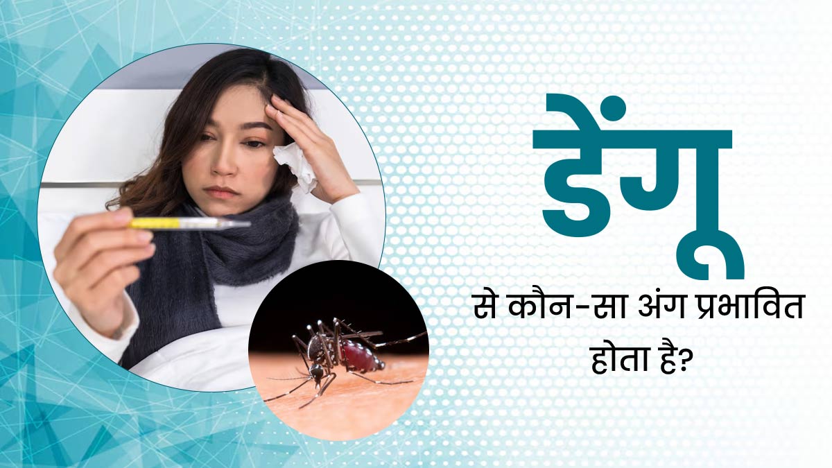 शरीर के इन 3 अंगों को ज्यादा प्रभावित कर सकता है डेंगू, लक्षणों को न करें नजरअंदाज