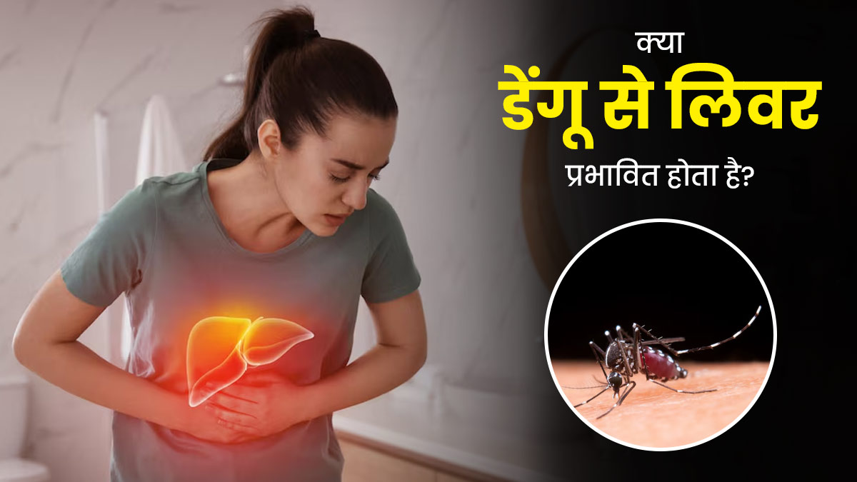 क्या डेंगू से लिवर पर असर पड़ता है? एक्सपर्ट से जानें दोनों में संबंध