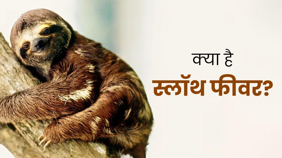 यूएस में मिला स्लॉथ फीवर का पहला मामला, जानें इसके लक्षण कारण और बचाव के तरीके 