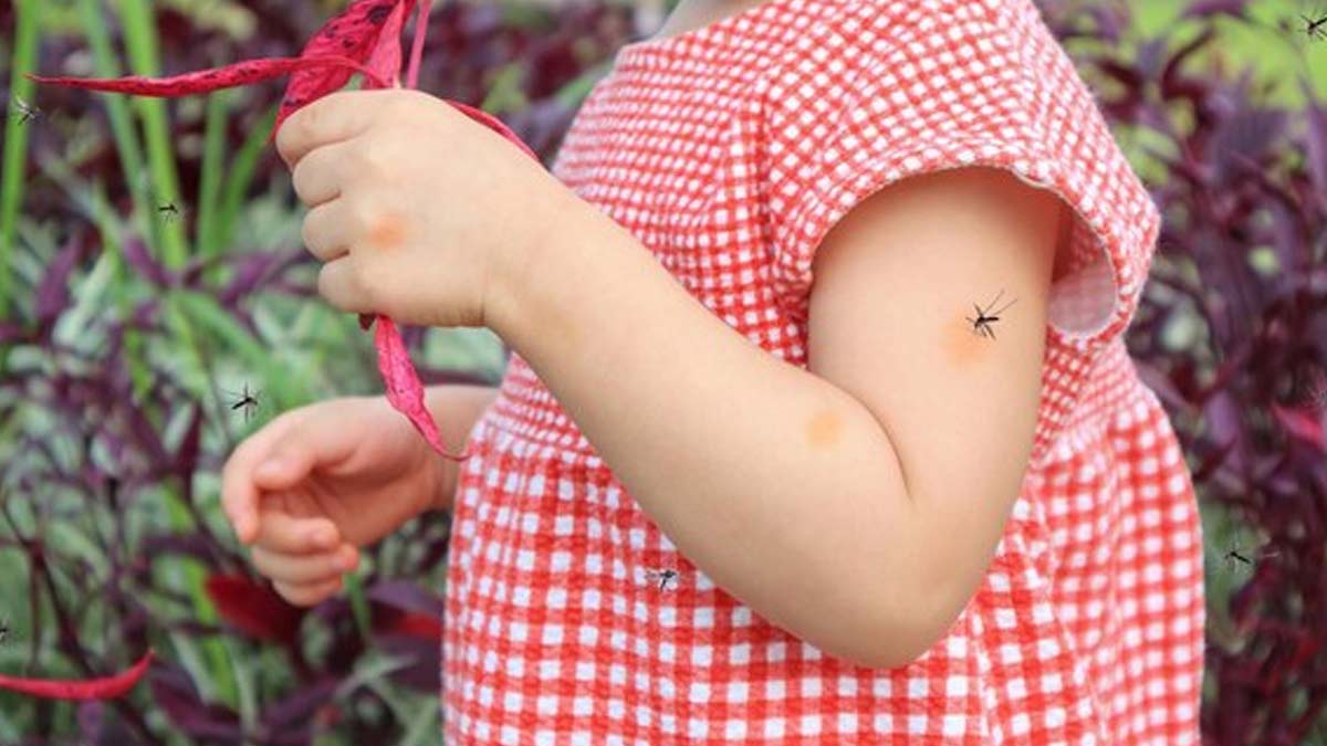 Eastern-equine-encephalitis-inside