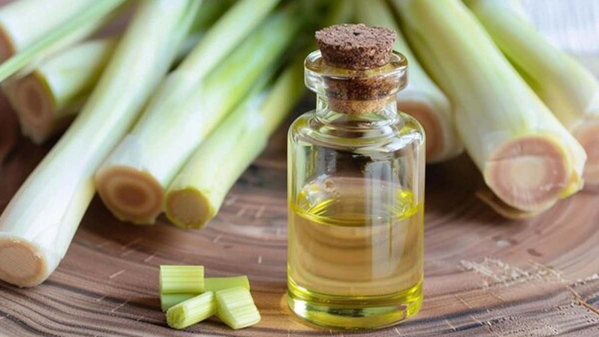 lemongrass oil