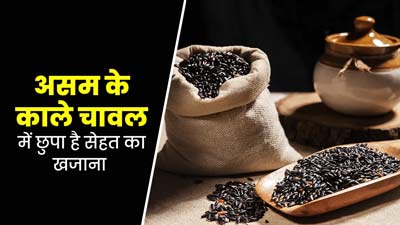 सेहत के लिए फायदेमंद होते हैं असम के प्रसिद्ध काले चावल 'चक-हाओ', डाइट में करें शामिल