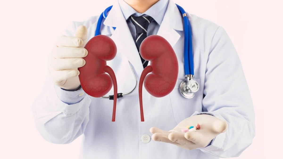 Living With One Kidney: Exploring Possibility And Challenges