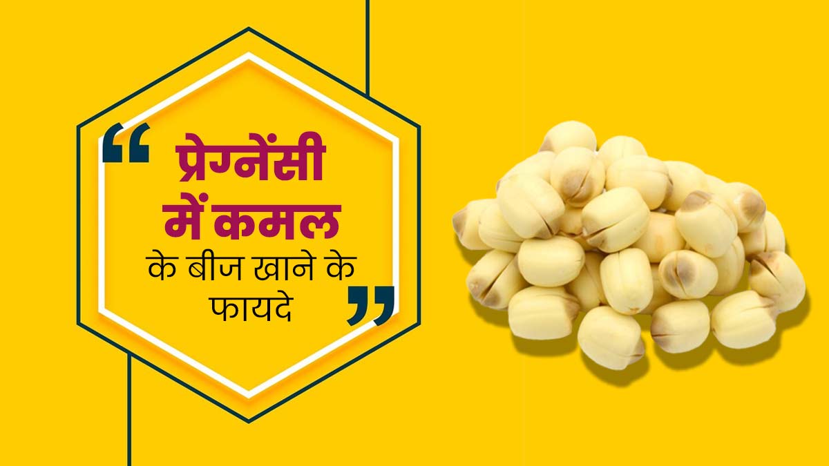 प्रेग्नेंसी में कमल के बीजों का करें सेवन, सेहत को मिलेंगे कई जबरदस्त फायदे