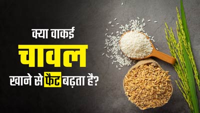 क्या चावल खाने से वाकई शरीर में फैट बढ़ता है? एक्सपर्ट से जानें सच्चाई 