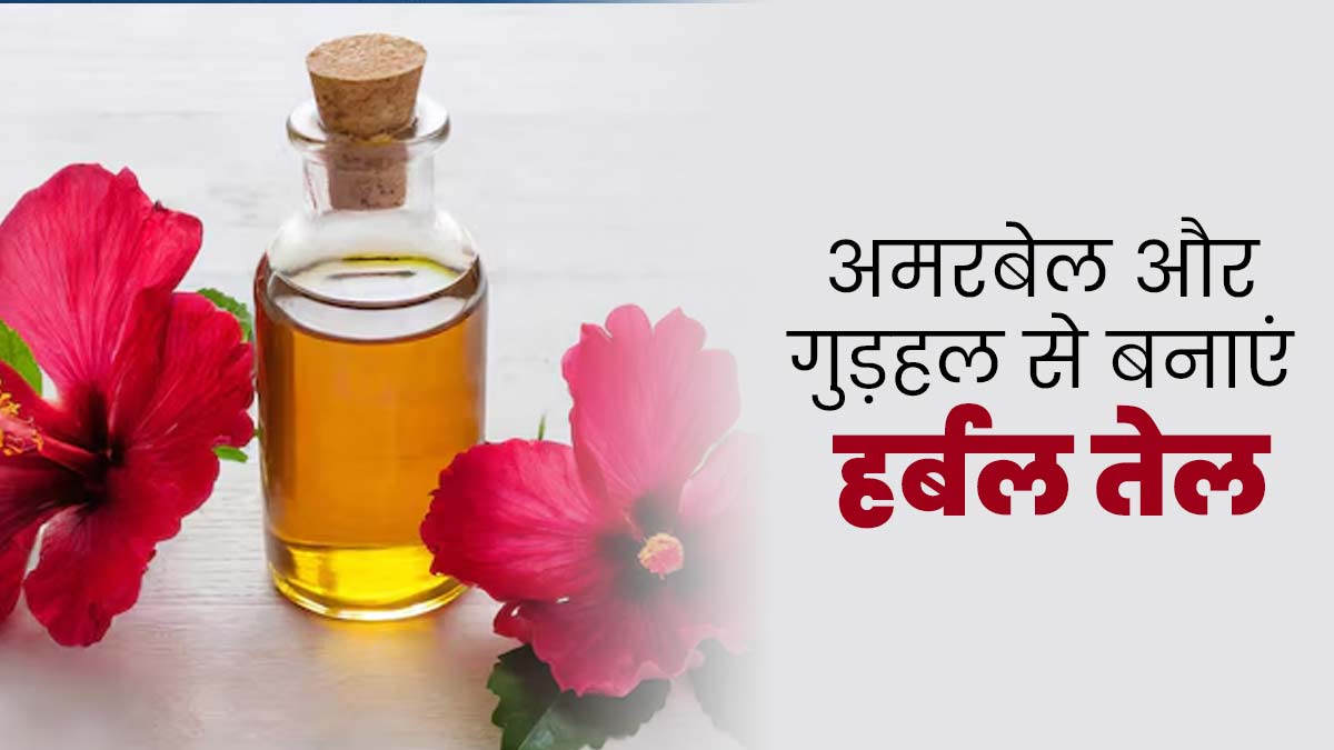 बालों की कई समस्याएं दूर करेगा अमरबेल और गुड़हल का हर्बल ऑयल, जानें इसे बनाने का तरीका