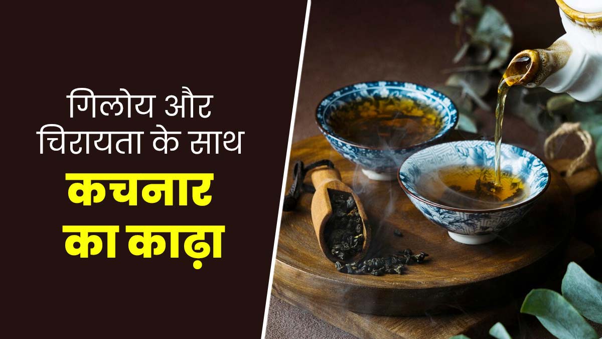 रोज पिएं गिलोय, चिरायता और कचनार का काढ़ा, दूर होंगी ओरल हेल्थ से जुड़ी समस्याएं 
