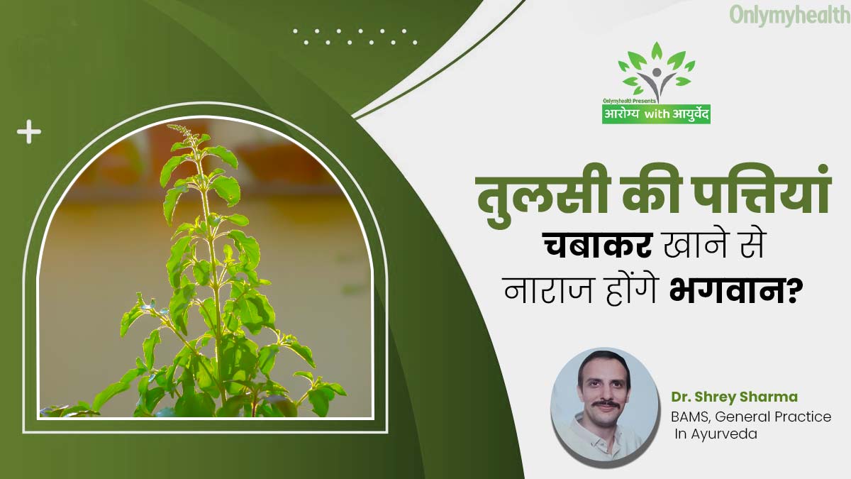 अंधविश्वास या साइंस: क्या तुलसी की पत्तियां चबाकर खाने से नाराज होंगे भगवान या इसका है कोई वैज्ञानिक कारण?