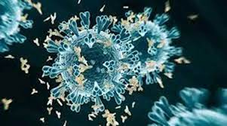 Chandipura Virus