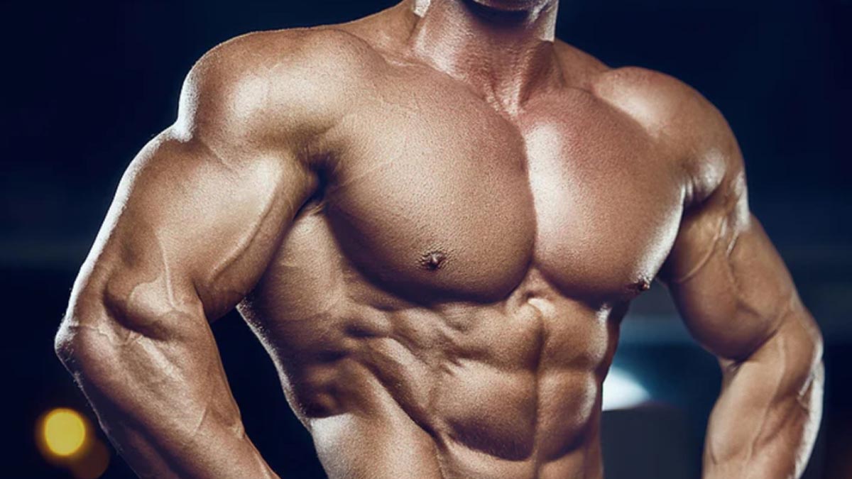 Best SARMS Stack in 2024 – Top 4 SARMS Stacks for Lean Muscle Growth