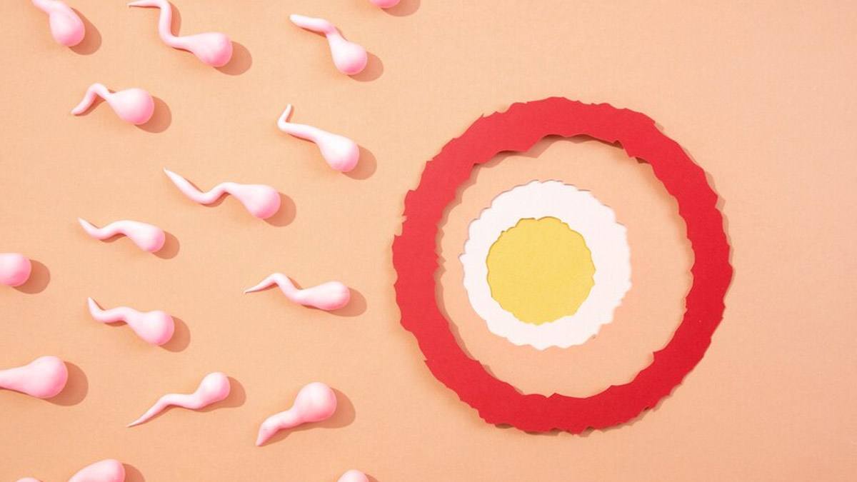 IUI Vs. IVF: Understanding The Difference And Determining Which Is Right For You