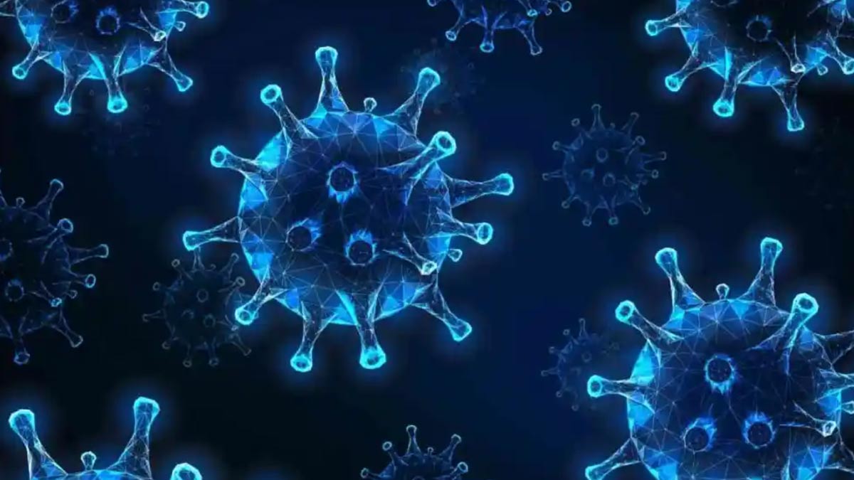 Chandipura Virus Outbreak In India Largest In 20 Years, Says WHO