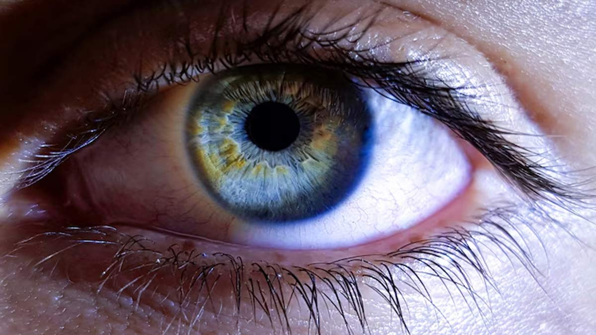 Eye Health: Can Consuming Fennel Seeds And Almonds Before Sleep Enhance Your Vision?