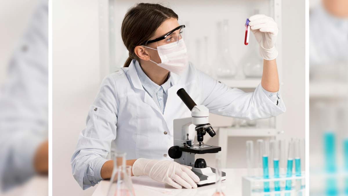 testosterone and estrogen level in woman 