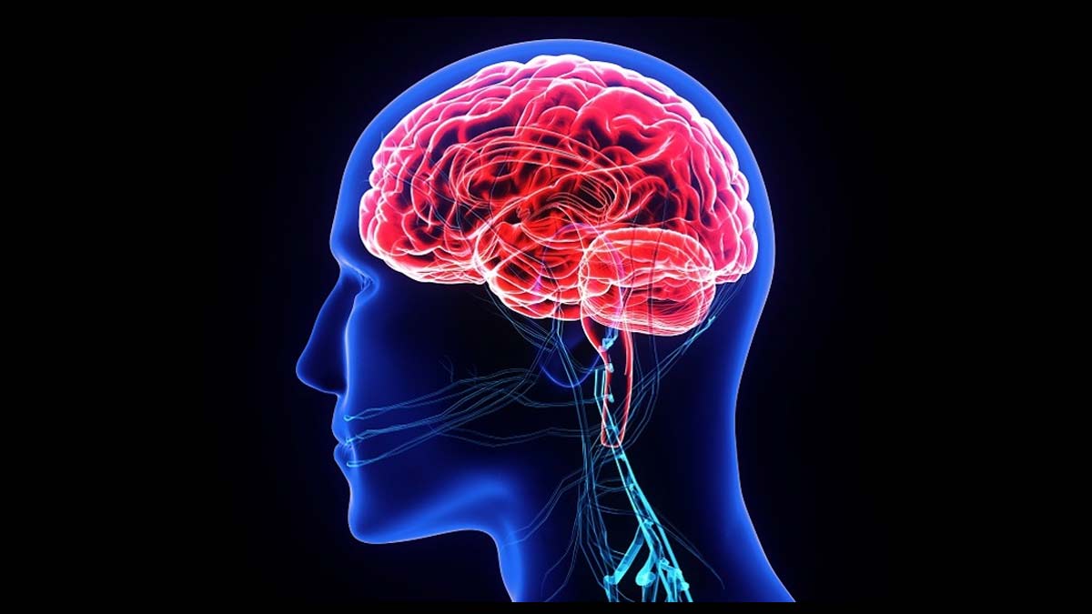 viral and bacterial encephalitis difference