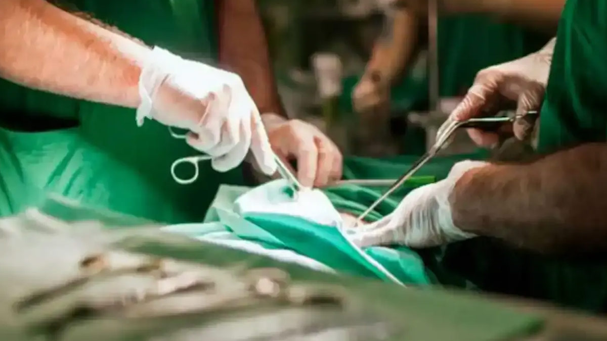 Bengaluru Doctors Remove Massive Hairball from 8-Year-Old’s Stomach; Know All About Her Diagnosis