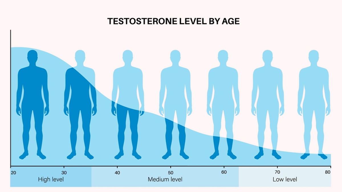 testosterone-decline