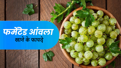 सर्दी-खांसी से लेकर कफ को ठीक करने में फायदेमंद है फर्मेंटेड आंवला, जानें इसे फर्मेंट करने का तरीका