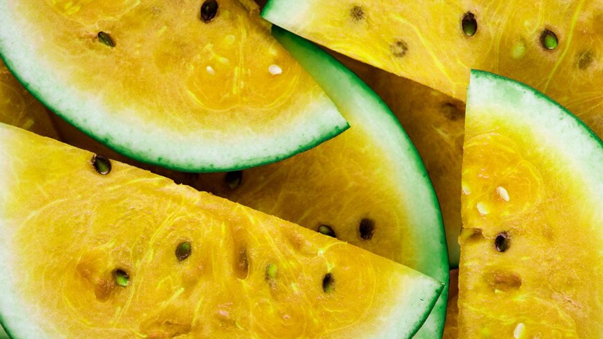 Have You Heard Of Kalahari Melon Oil? Here’s How It Can Do Wonders For Your Skin