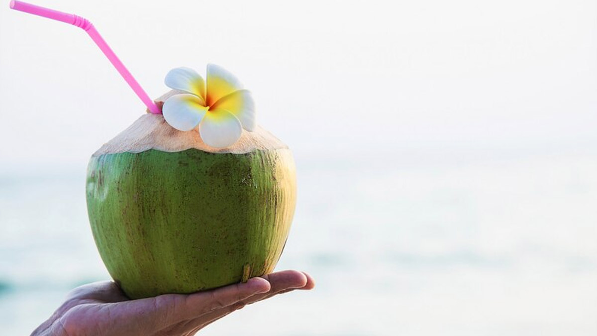 Coconut Water: Know Its Benefits And How It Nourishes Your Body ...