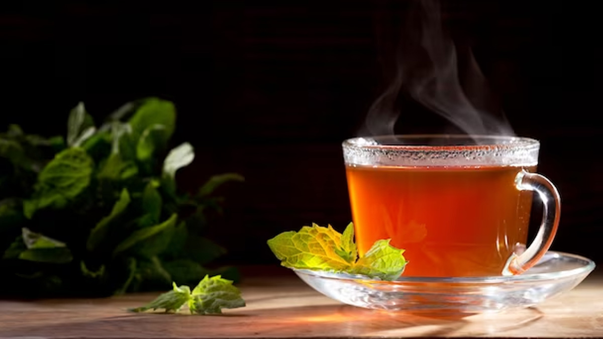 green tea benefits 
