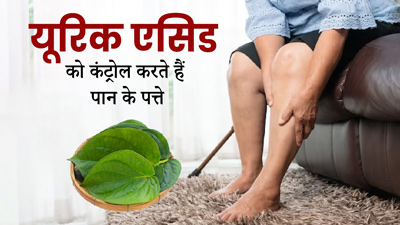 यूरिक एसिड को कंट्रोल करते हैं पान के पत्ते, जानें इस्तेमाल का तरीका