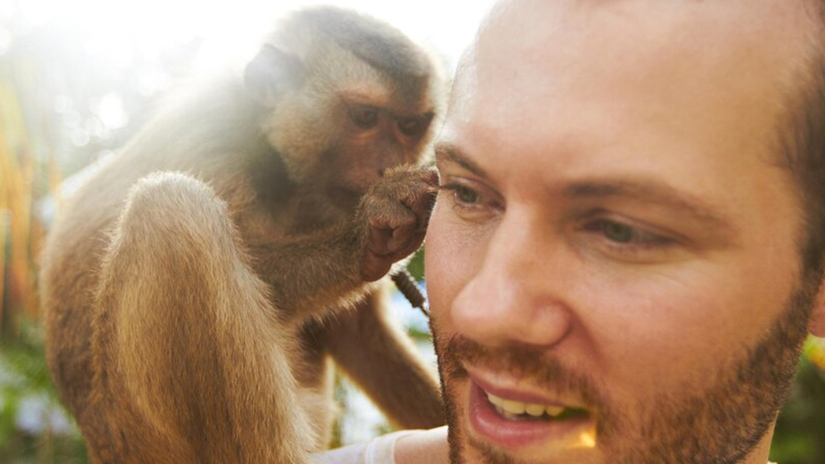 Monkey Fever Or Kyasanur Forest Disease: Symptoms, Risk Factors, Prevention, Treatment