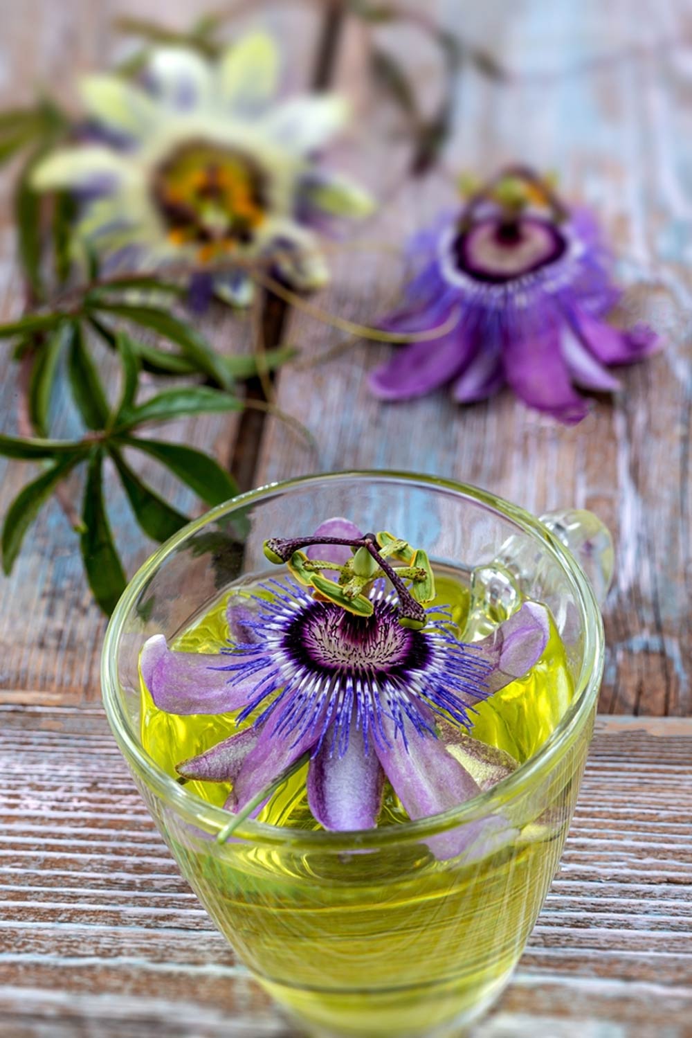 passionflower-tea