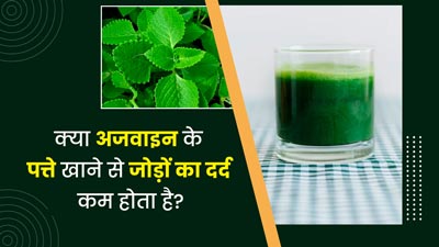 क्या वाकई अजवाइन के पत्ते खाने से जोड़ों का दर्द कम हो सकता है? जानें इस बारे में