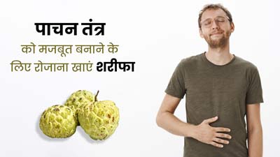 पाचन तंत्र को मजबूत करने के लिए रोजाना खाएं शरीफा, मिलेंगे जबदस्त फायदे 