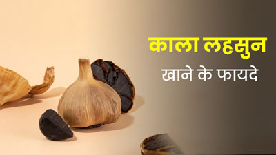 Black Garlic Benefits: काला लहसुन खाने से शरीर को मिलते हैं ये 5 जबरदस्त फायदे, आज से ही करें डाइट में शामिल