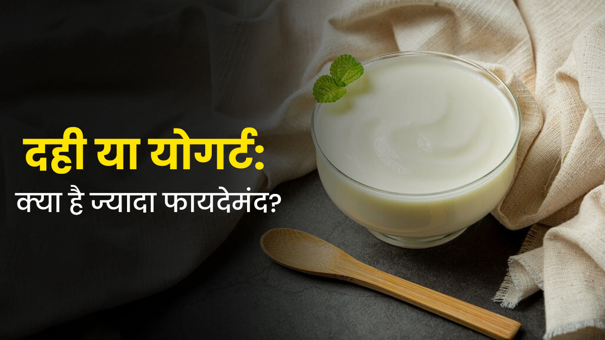 Curd vs Yogurt: एक्सपर्ट से जानें सेहत के लिए क्या है ज्यादा फायदेमंद? 