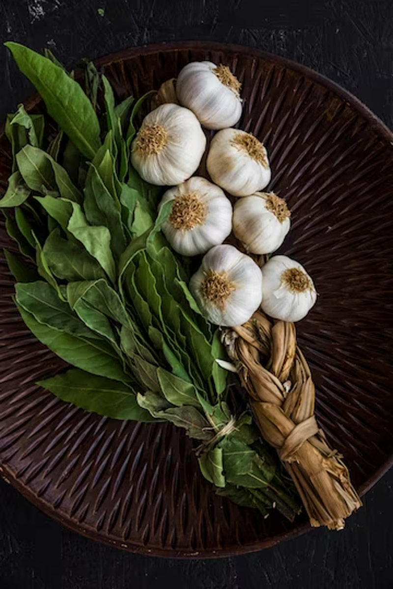 garlic
