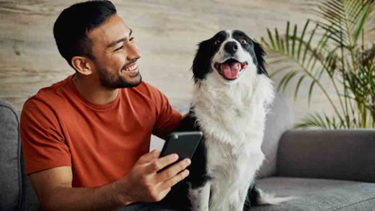 71 वर्षीय शख्स ने कुत्ते के शरीर से निकाला कीड़ा, संपर्क में आने से हुआ निमोनिया और सेप्सिस रोग, ICU में एडमिट