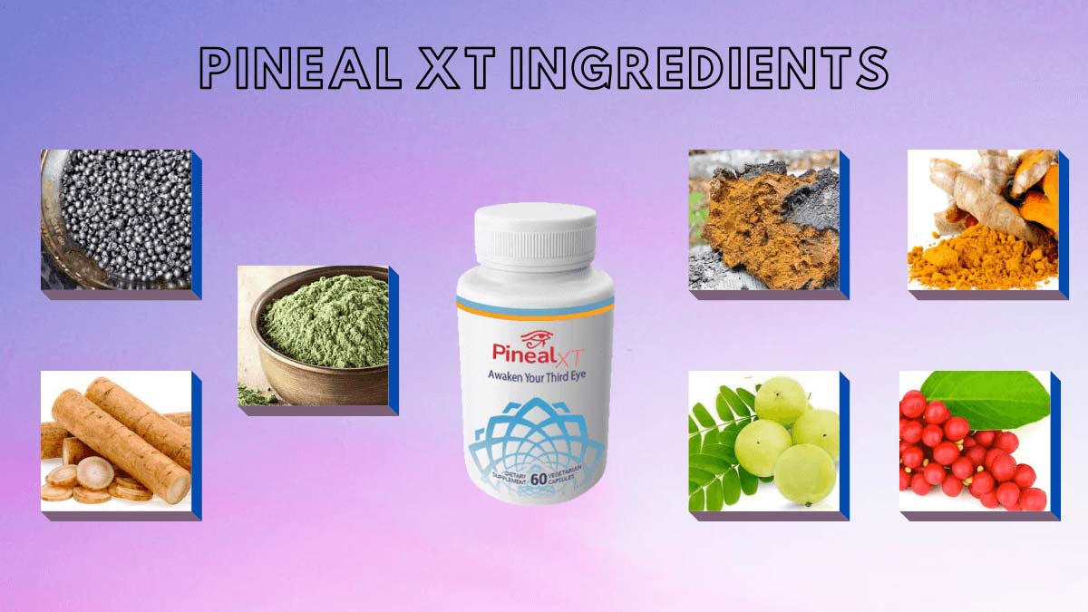 Pineal XT Ingredients