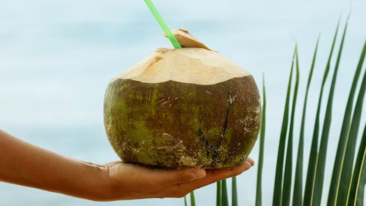 Coconut Water With Sabja Seeds Benefits
