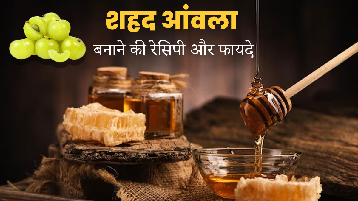 एक साथ करें शहद और आंवले का सेवन, एक्सपर्ट से जानें रेसिपी और फायदे
