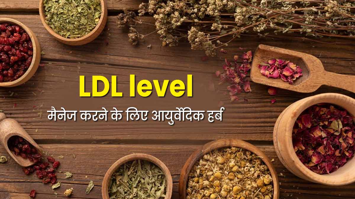 शरीर में जमा बैड कोलेस्ट्रॉल को कम करने में कारगर हैं ये आयुर्वेदिक हर्ब्स, जानें इनके बारे में