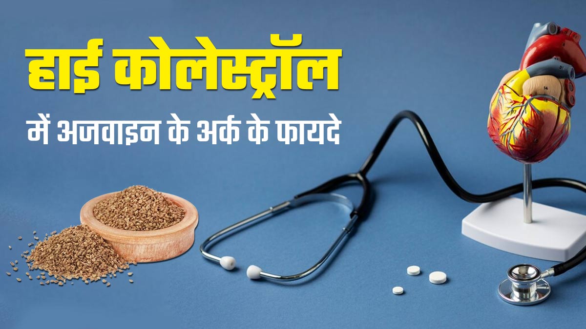 हाई कोलेस्ट्रॉल से छुटकारा पाने के लिए करें अजवाइन के अर्क का सेवन, मिलेगा फायदा