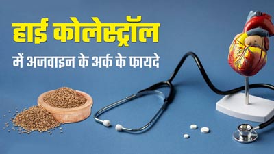 हाई कोलेस्ट्रॉल से छुटकारा पाने के लिए करें अजवाइन के अर्क का सेवन, मिलेगा फायदा